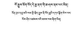 ལོ་རྒྱུས་ཐོག་བོད་དེ་རྒྱ་ནག་གི་ཆ་ཤས་ནམ་ཡང་མིན། འོན་ཀྱང་དབུ་མའི་ལམ་གྱི་སྲིད་བྱུས་ནི་བོད་རྒྱའི་དཀའ་རྙོག་སེལ་བར་འོས་ཤིང་འཚམས་པའི་ཐབས་ལམ་ཞིག་ཡིན།